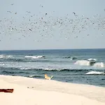 Seesichtpur 2 Pelzerhaken