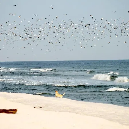 Seesichtpur 2 Pelzerhaken