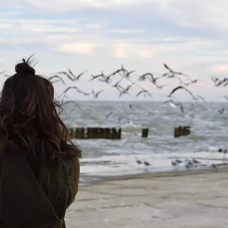 Apartman Seesichtpur 2 *